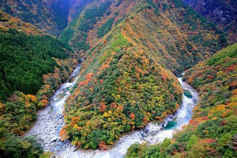 祖屋|日本三大秘境！徳島県『祖谷』がスゴすぎる！ワイルドな田舎体。